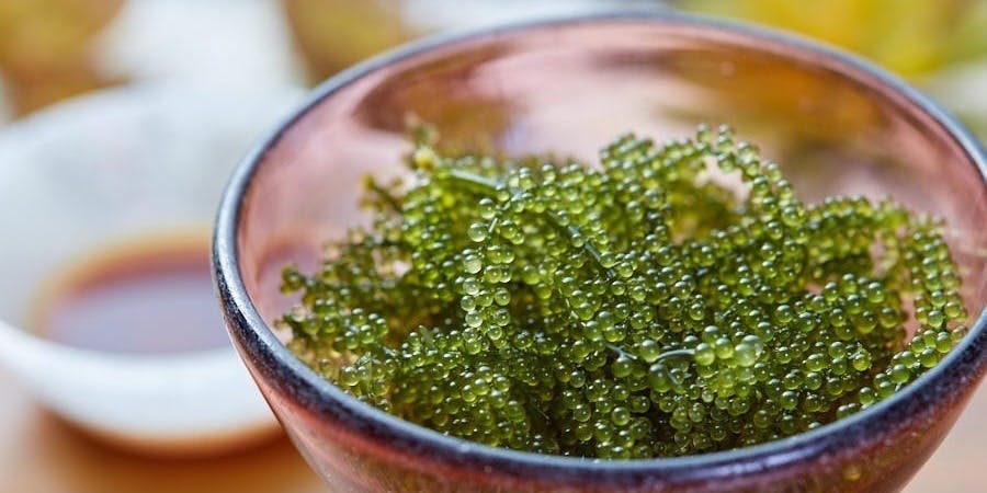 ロケーションダイニング凪 - 画像3