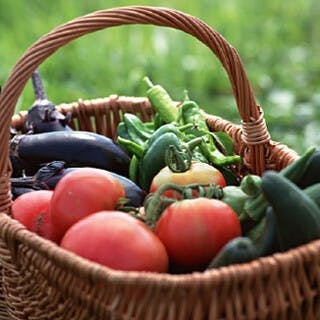 お子様も安心の厳選された季節の素材