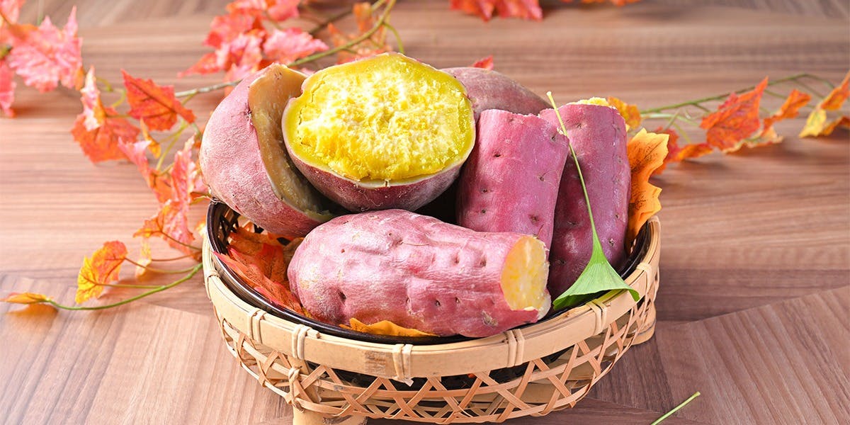 The HARBOR - 画像2