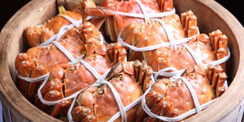 【季節のコース】全8品＋＜特典＞乾杯グラススパークリング、特製デザート、料理長厳選中国茶