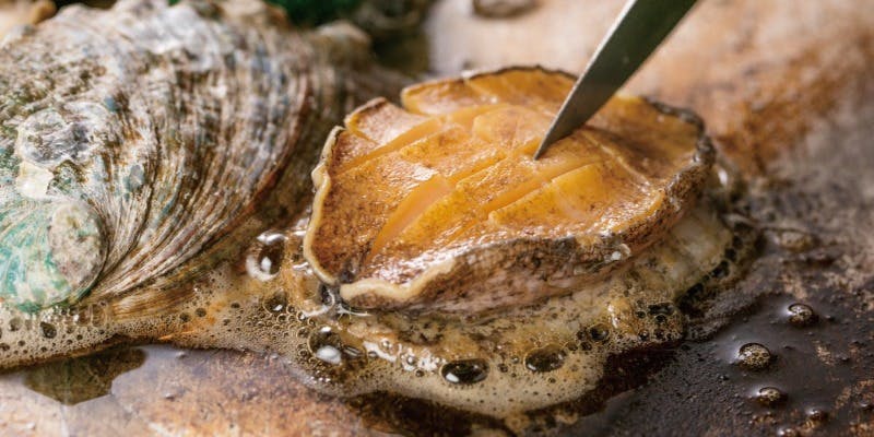 【おまかせ】活アワビステーキ、フォアグラソテー、今月の黒毛和牛ステーキなど～全11品