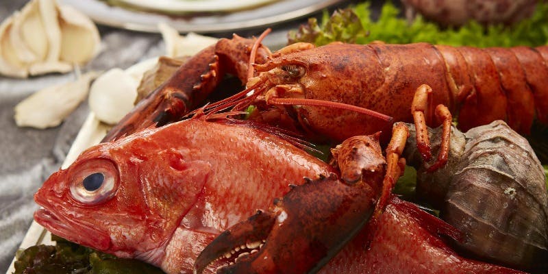 オマール海老 と北海道産キンキ・知床牛コース（Xmas2025）