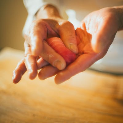 伝統を継ぐ、職人の技が光る鮨割烹