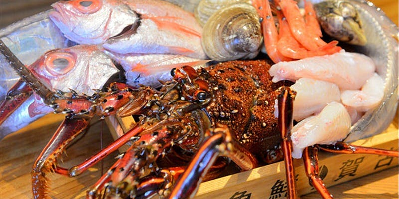 住吉日本料理 Koga - 画像5