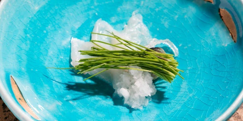 冬季限定 天然ふぐ（全10品）個室限定＋日本酒ペアリング＋バースデープレート付