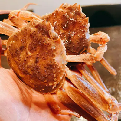 厳選した食材で、こだわりの料理を