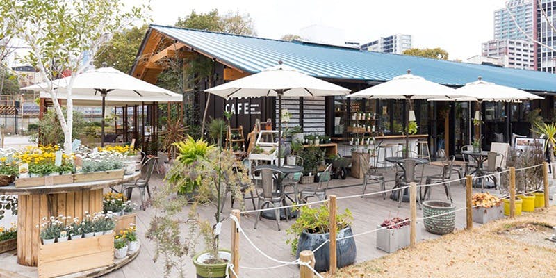 bloom&brew 天王寺 - 画像5