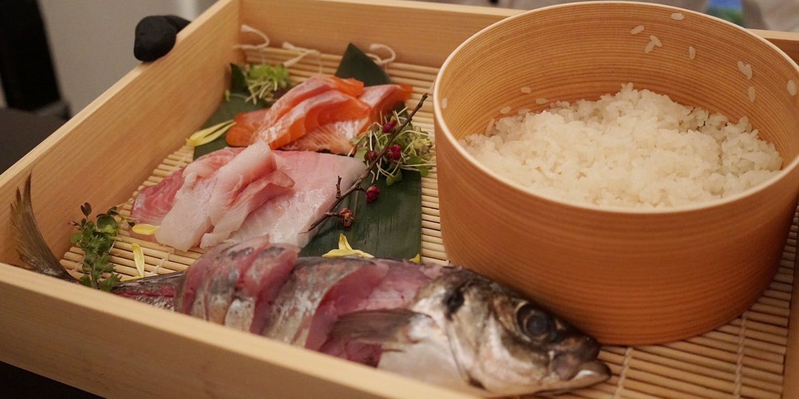 KAPPO TSUGUMOMO - 画像8