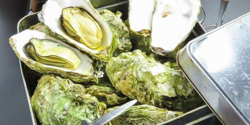 牡蠣小屋海鮮居酒屋 ぐんぱち - 画像1