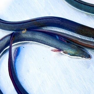 全メニューがテイクアウト可能で、イベントやお土産にも最適