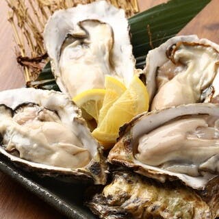 仙鳳趾産生牡蠣を165円で提供