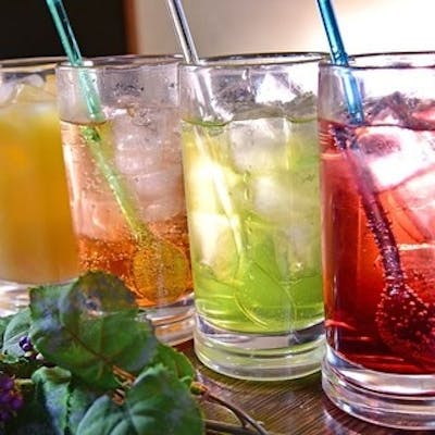 単品ドリンク330円、飲み放題もお得