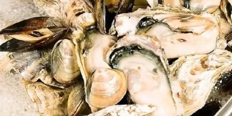 全国うまいもん酒場 初代原点屋 西八王子北口店 - 画像2