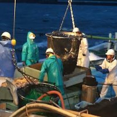 漁港から直送される旬のお魚が皆様をお待ちし