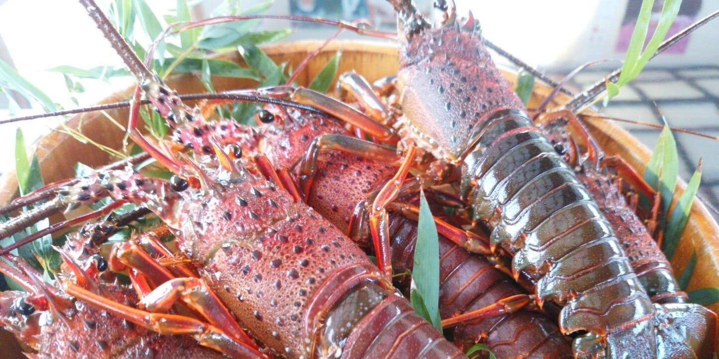 鳥羽 海鮮料理 屋形船おきた - 画像2