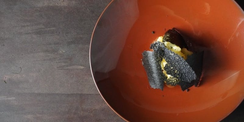 【OMAKASE8品コース】黒毛和牛ヒレ肉など旬の食材を使った8品前後