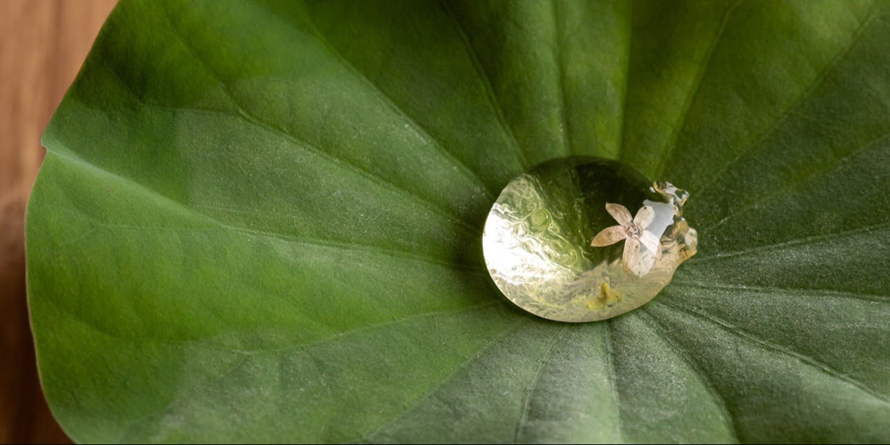 日本料理 るふ - 画像5