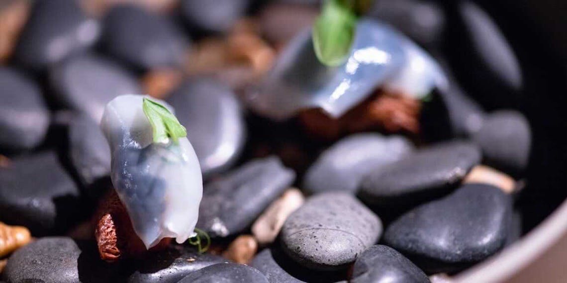 Yumanite（ユマニテ）