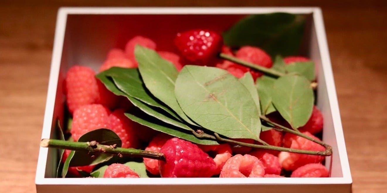 Yumanite（ユマニテ）