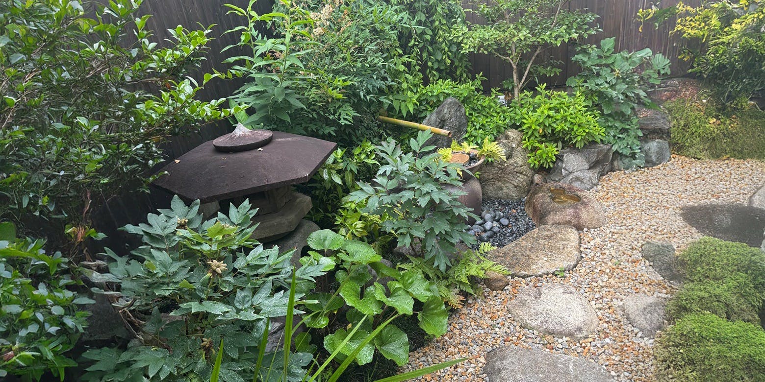 台湾料理 儒霖苑 - 画像3