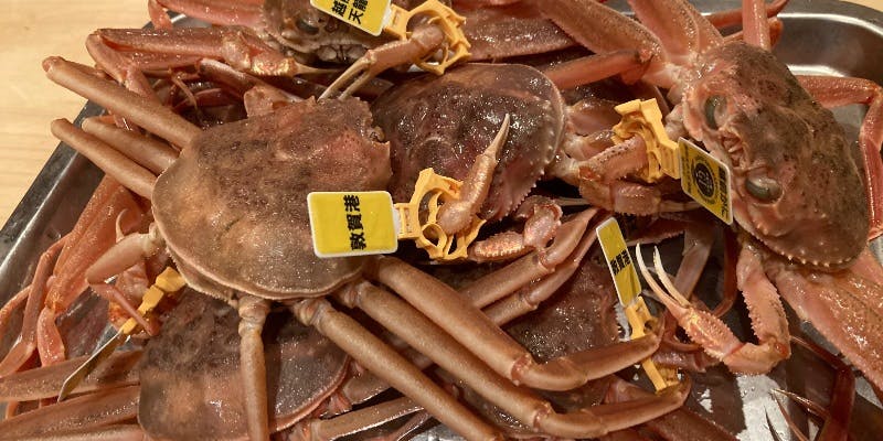 【季節の豪華おまかせコース】　旬の食材で構成されたデザート付き10品