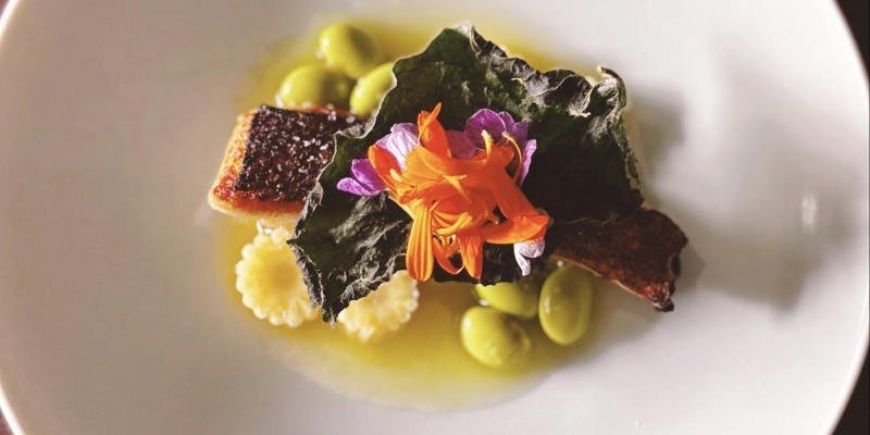 ランチコース＋コースのみ