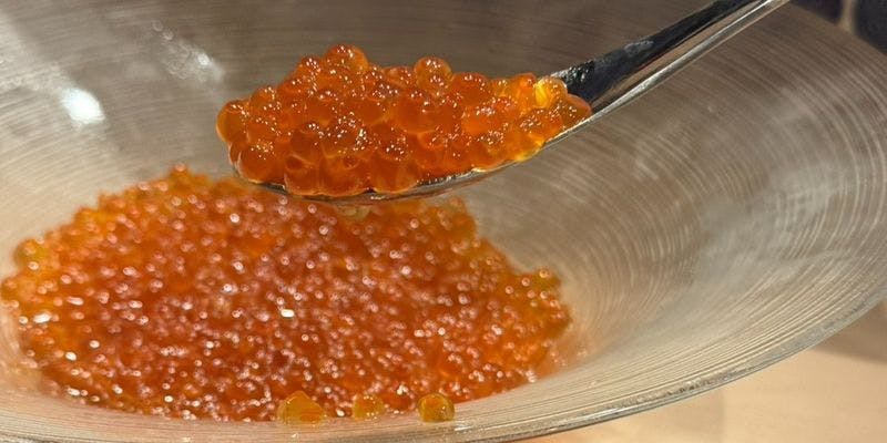 いくらすくいの小丼を含めた本格鮨のコース。いくらすくいの小丼他刺身や本鮪をはじめ馬肉霜降りなどを堪能
