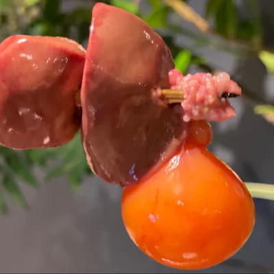 炭火×電熱が紡ぐ、唯一無二の焼き鳥アート