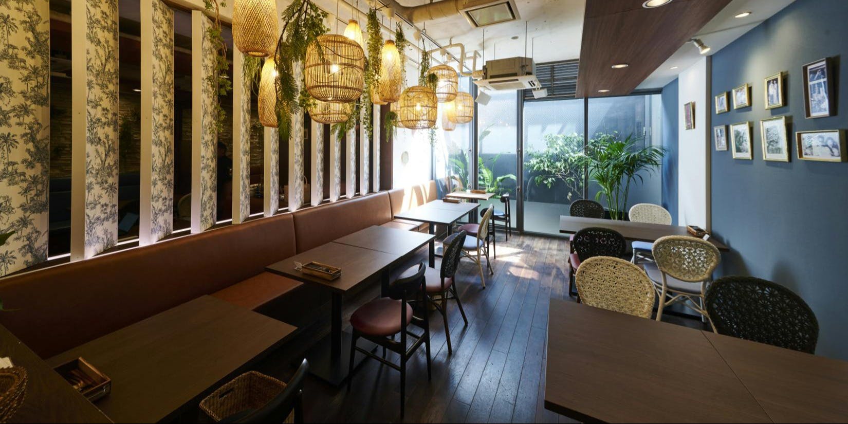 Butterfly Pea - 画像1