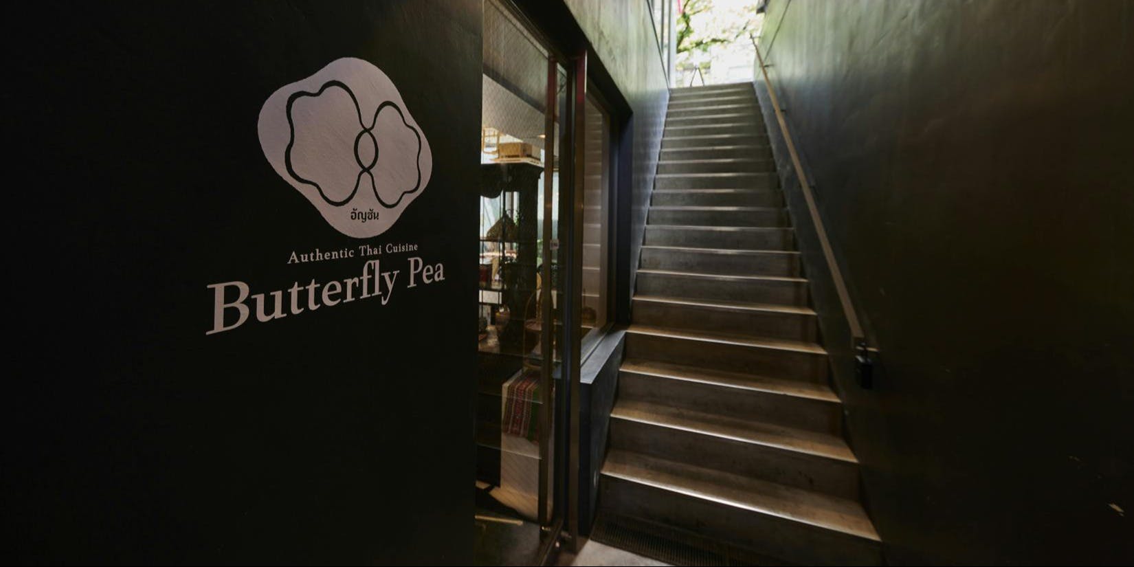 Butterfly Pea - 画像3