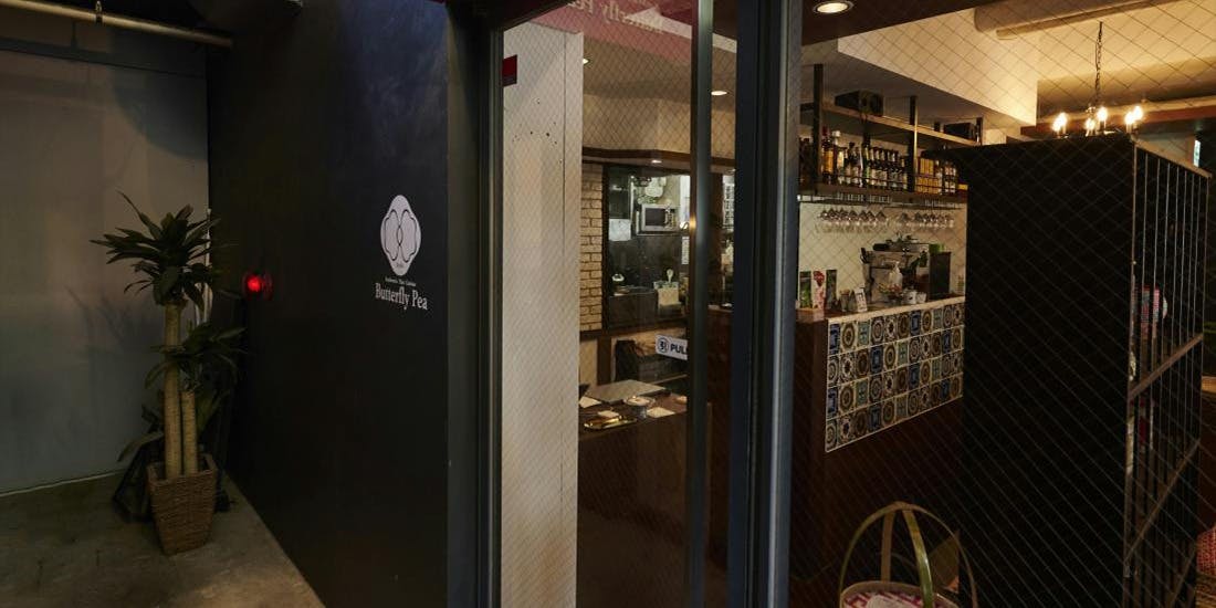 Butterfly Pea - 画像4