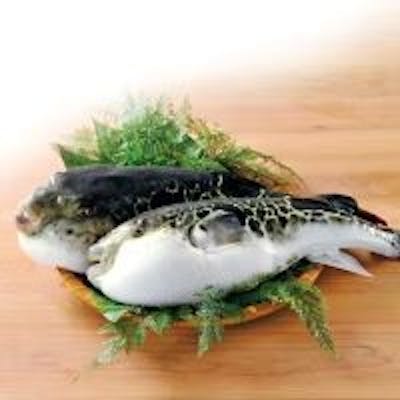 厳選したとらふぐのみを使用