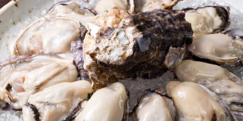 牡蠣と日本酒 四喜 - 画像1