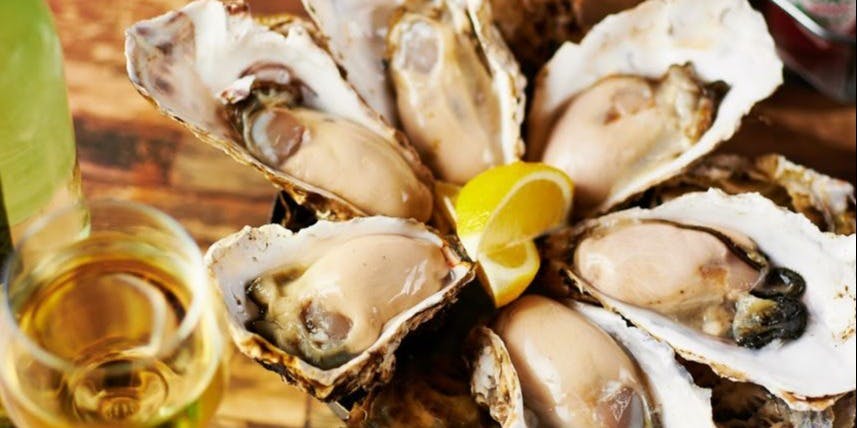 湘南バルはなたれThe Fish&Oysters - 画像3