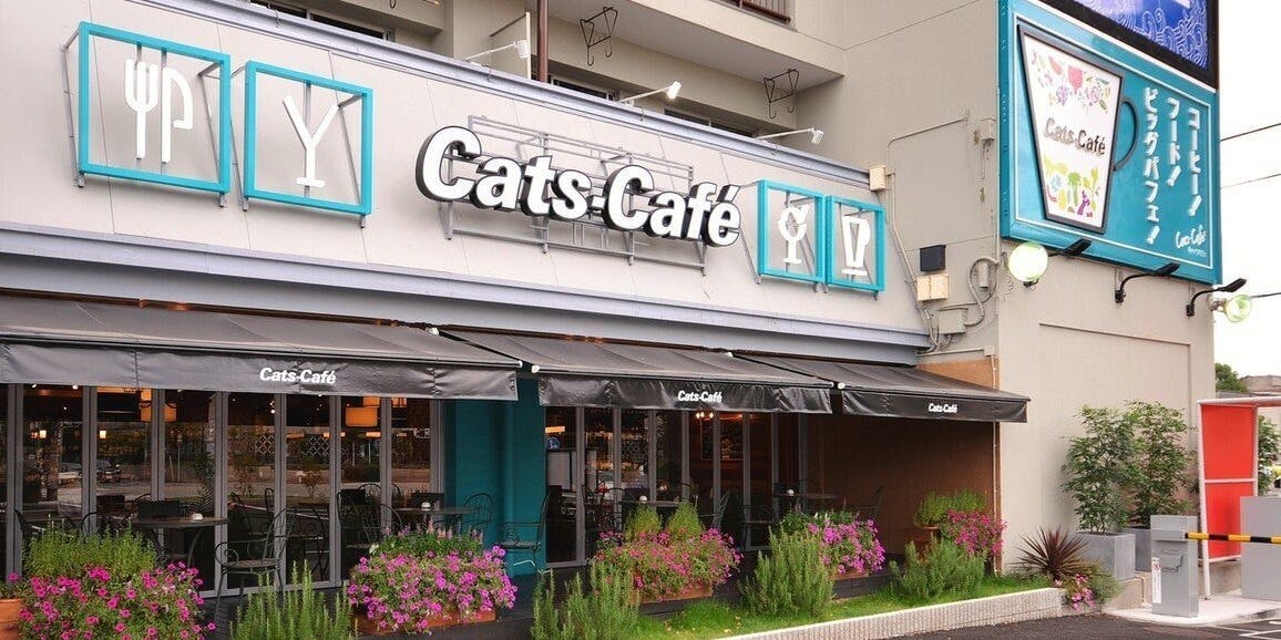 キャッツカフェ港店 - 画像5