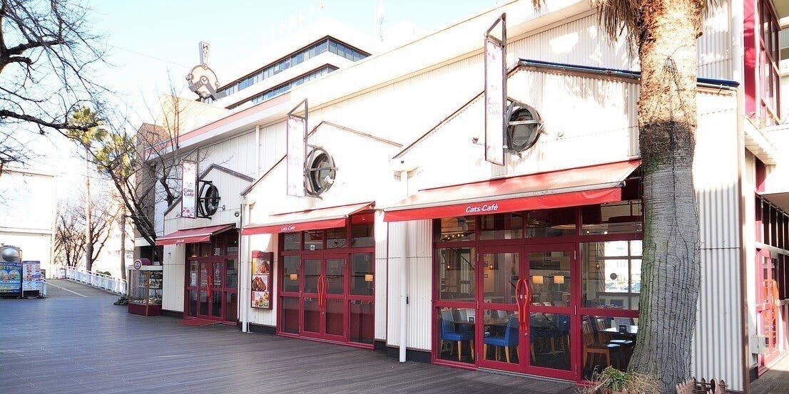 キャッツカフェガーデンピア店 - 画像5