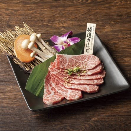 多彩なメニューで満足度抜群