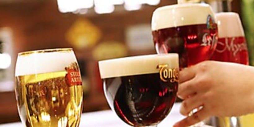 フランダース テイル バルチカ - 画像5