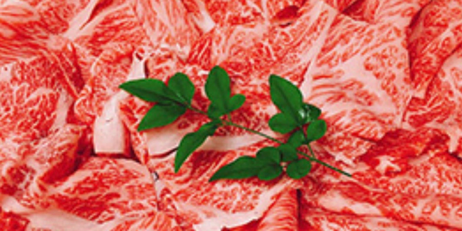 日本料理 伊勢之家 - 画像3