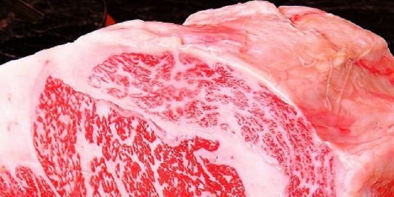 焼肉秀吉 待庵下中野店 - 画像3