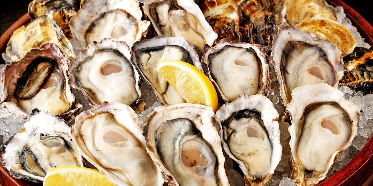 個室完備 海賊料理と牡蠣の店 村上海賊 エキエ広島店 - 画像1