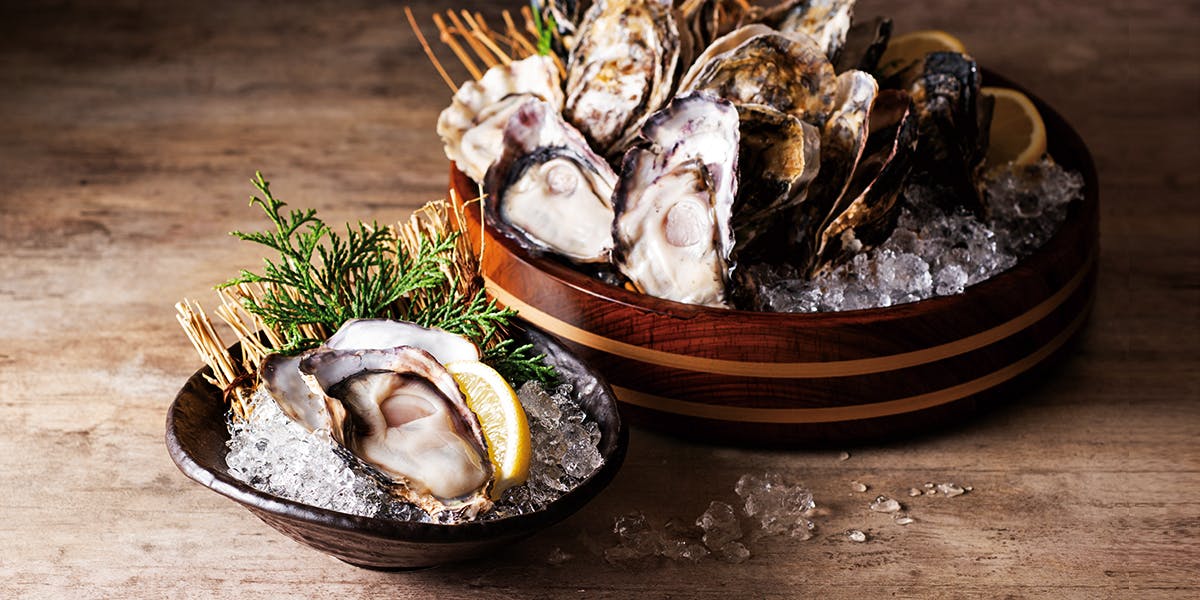 さかなや道場 高知帯屋町店 - 画像6