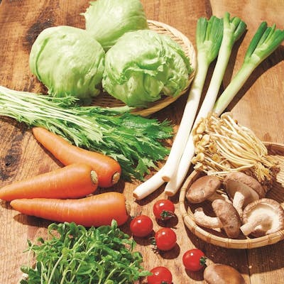 心を込めてつくられる国産野菜