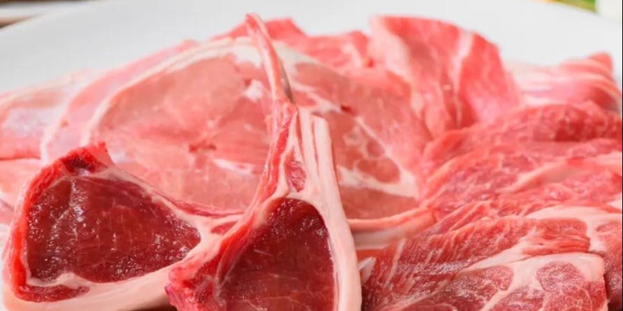 アサヒビール園 白石 はまなす館 - 画像5