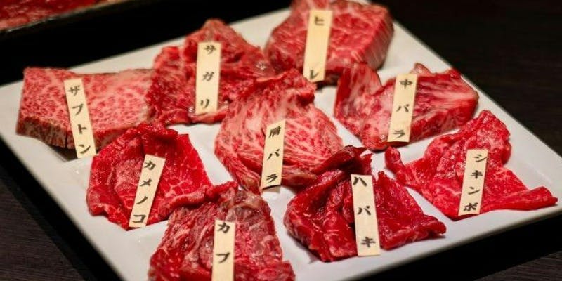 BeefGarden ���V��