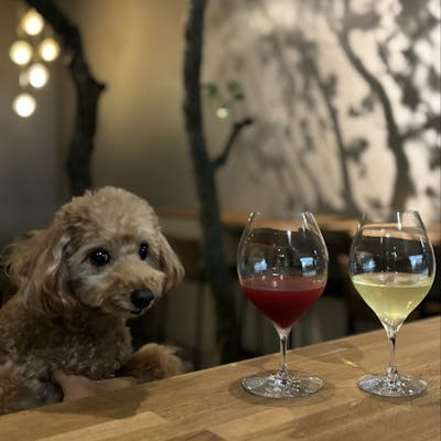 愛犬とともに味わう寛ぎのひととき