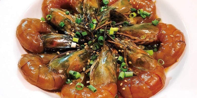 【全11品】天然魚＋サンナッチ スペシャルコース