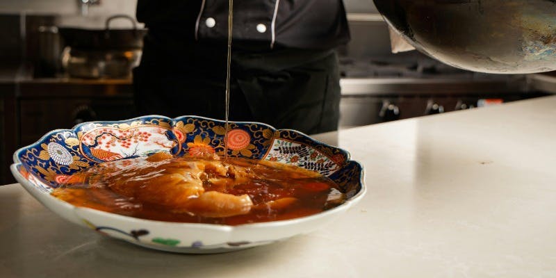 奉納コース｜特大ふかひれ姿｜黒鮑