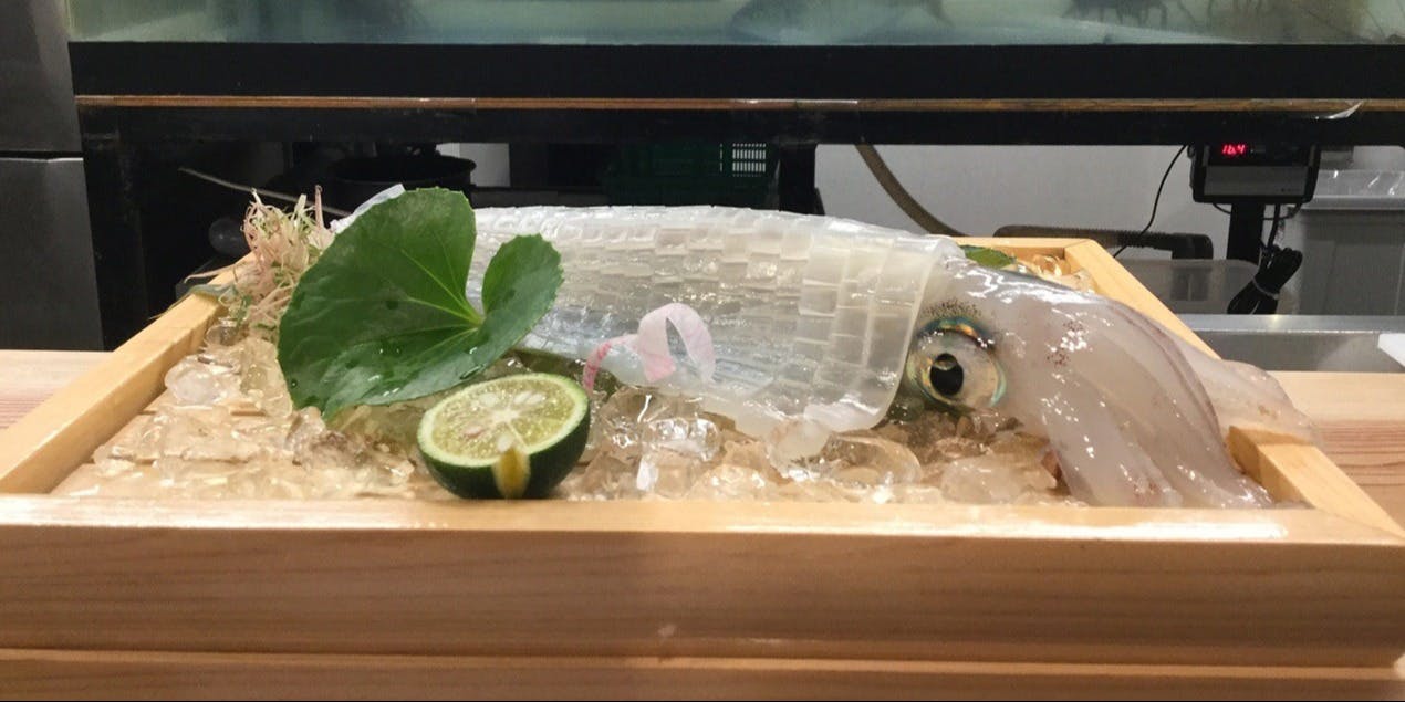 鯖とか烏賊とか真とか