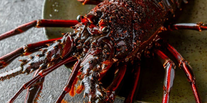 【特選！贅沢コース】活伊勢海老や黒毛和牛フィレ、夢王のお好み焼など全11品（17時入店限定）